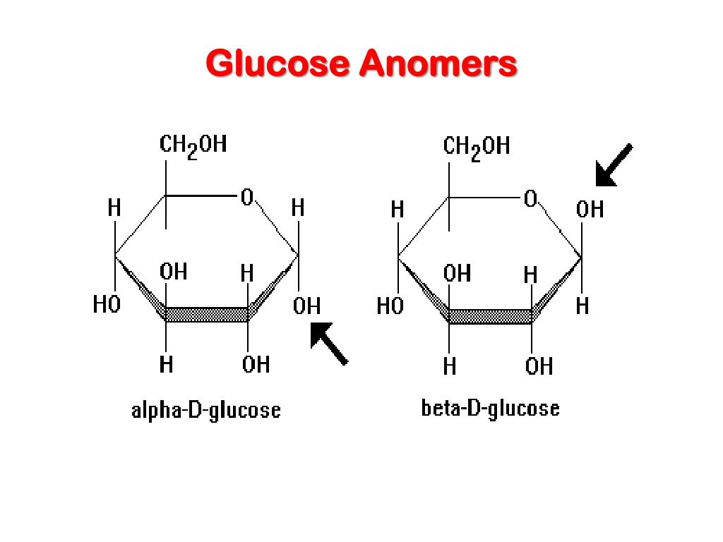 anomeric carbon definition anomeric carbon definition
