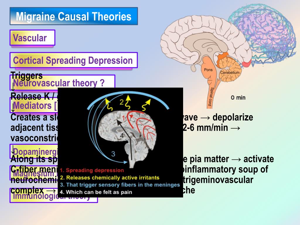 PPT - DRUGS USED IN HEADACHE AND MIGRAINE PowerPoint Presentation, free ...