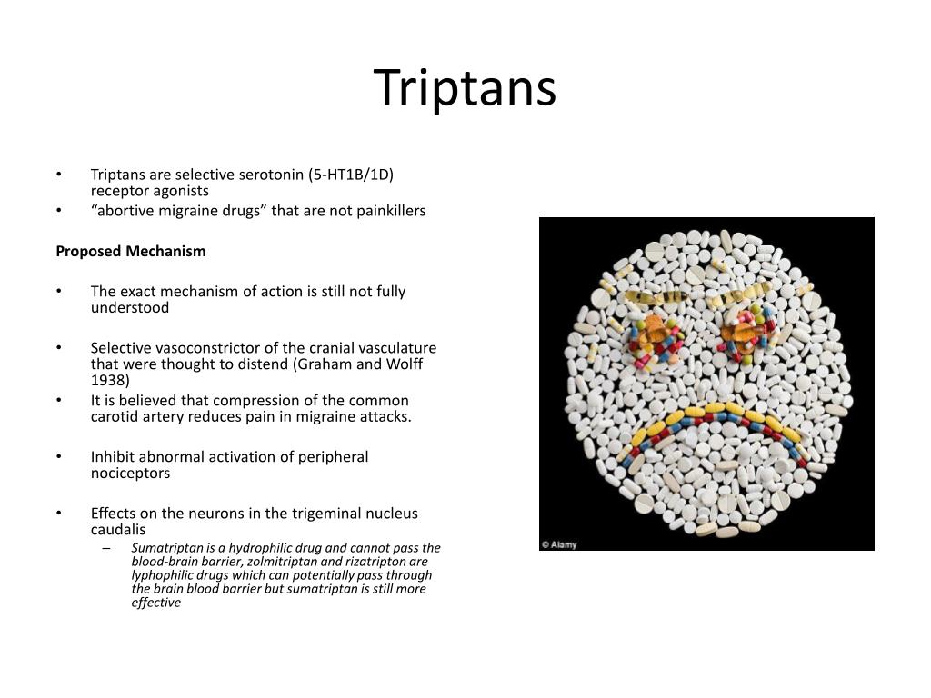 PPT - Triptans PowerPoint Presentation, free download - ID:2170476