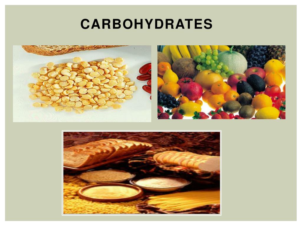 carbohydrates elements carbohydrates elements