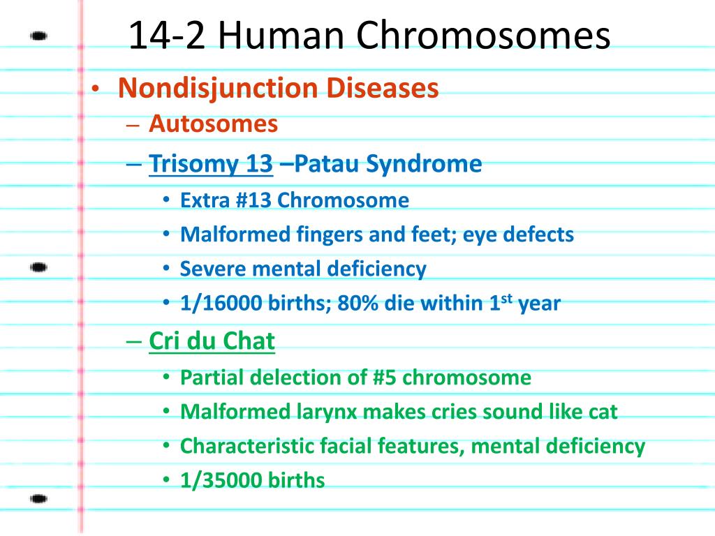 Cri Du Chat Pedigree Chart