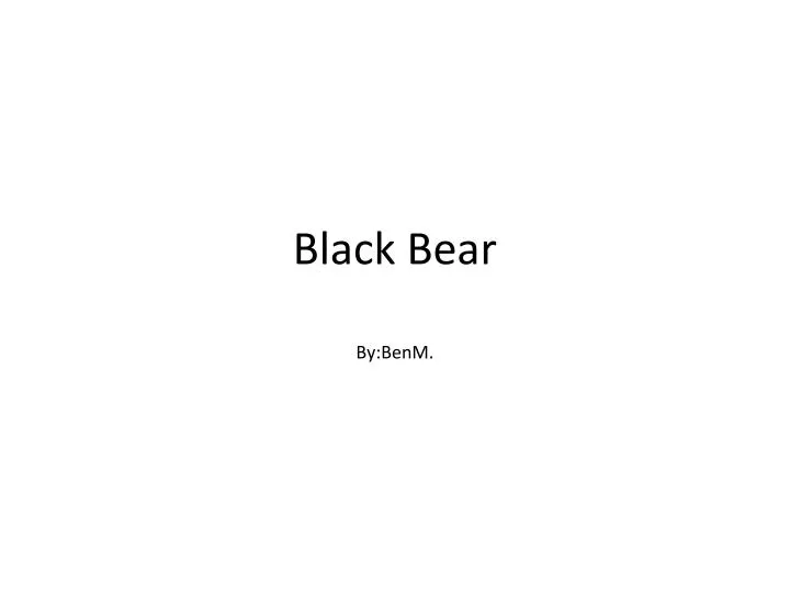 black bear n.