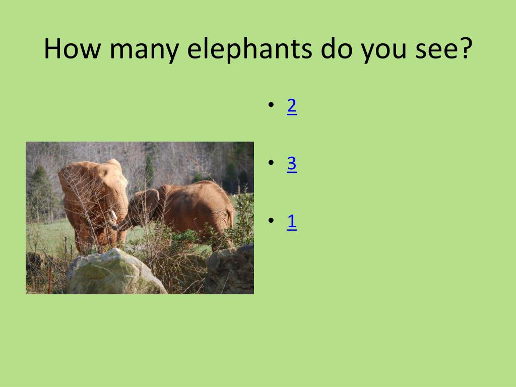 PPT - Fun Animal Addition: A Kindergarten Math Adventure PowerPoint ...