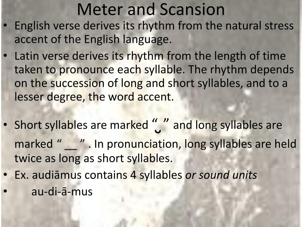 hendecasyllabic scansion latin hendecasyllabic scansion latin