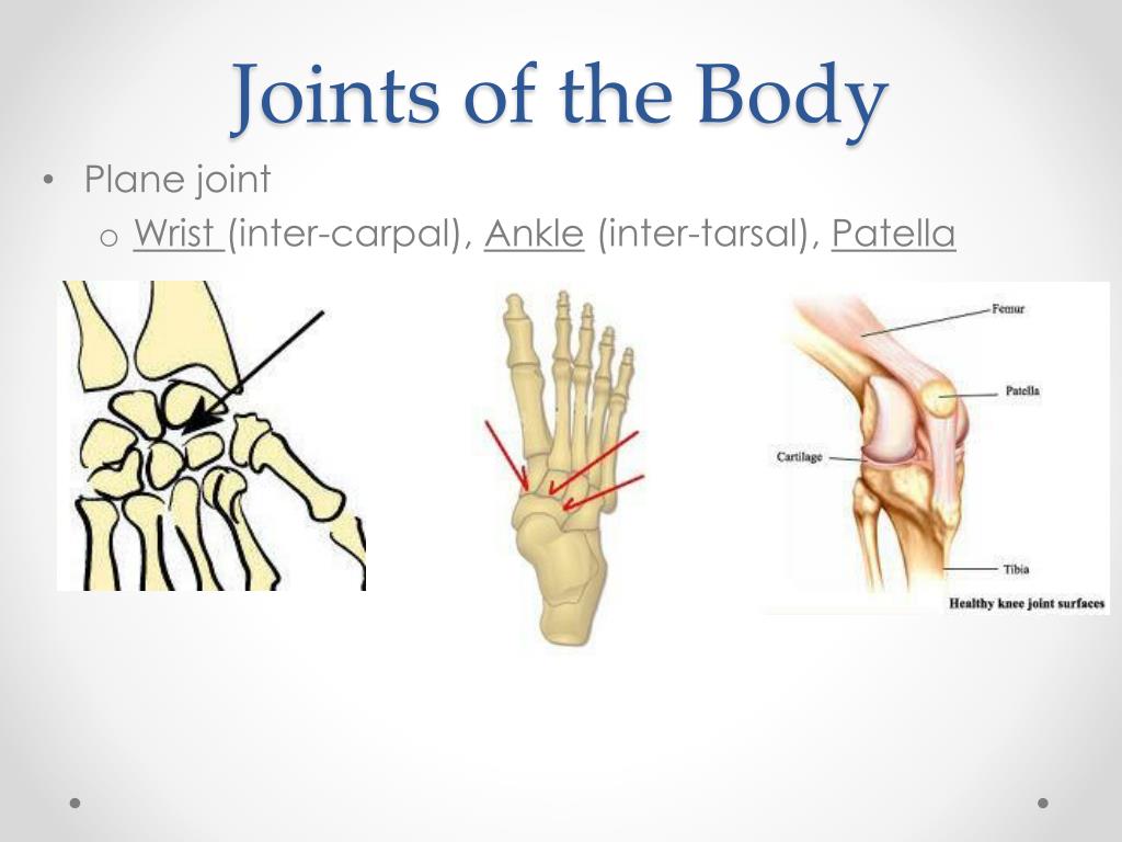 a joint presentation