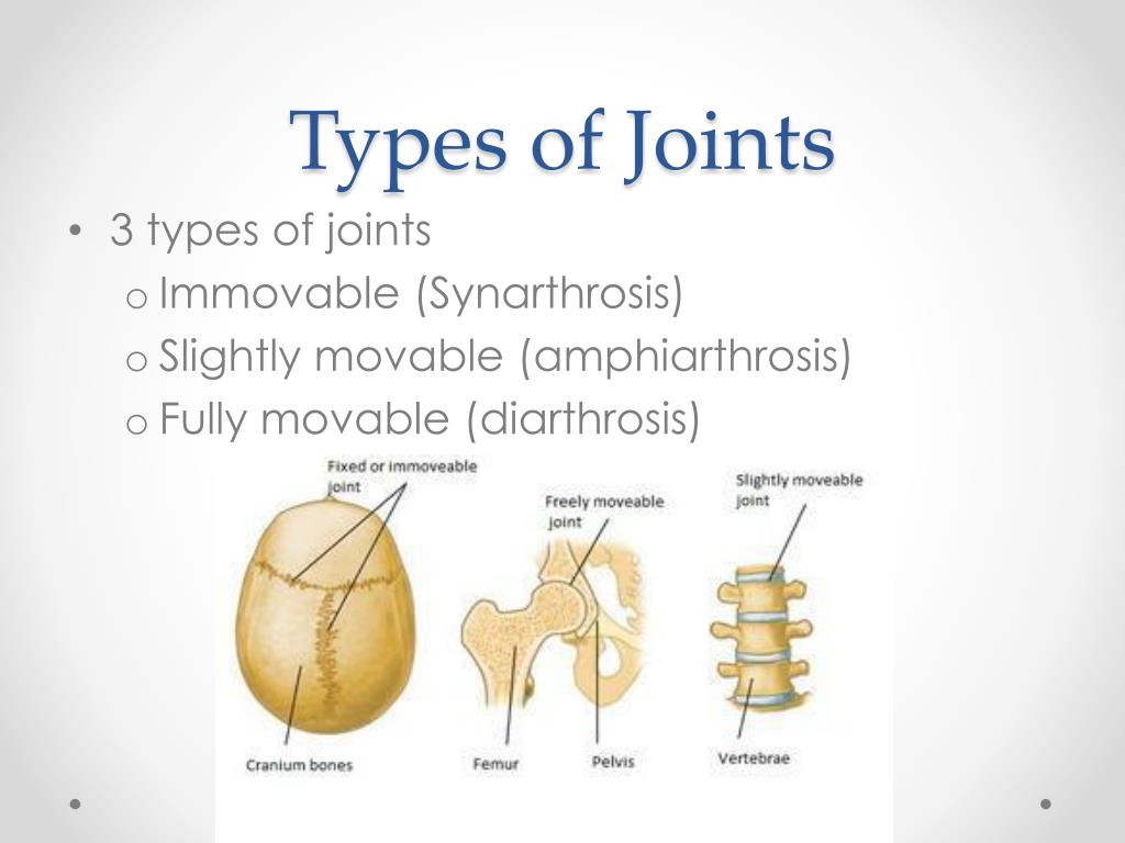 what is joint presentation