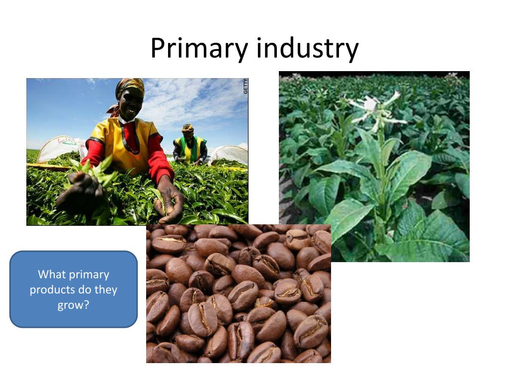 PPT - Factors effecting the location of industry in Kenya PowerPoint
