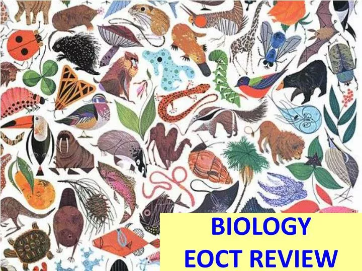 biology eoct review n.
