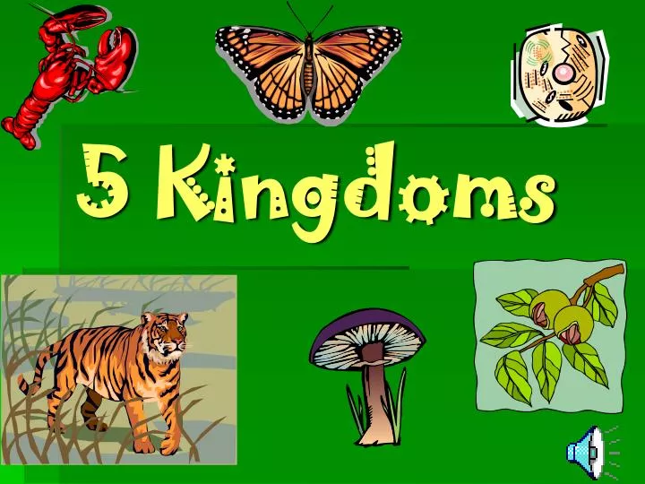 PPT - 5 Kingdoms PowerPoint Presentation, free download - ID:2173789