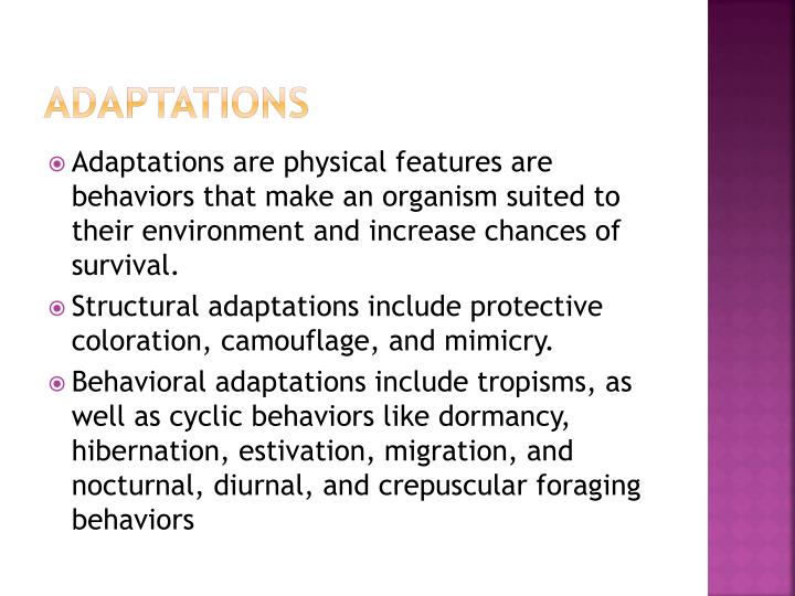 PPT Behavioral And Structural Adaptations PowerPoint Presentation ID 2174166