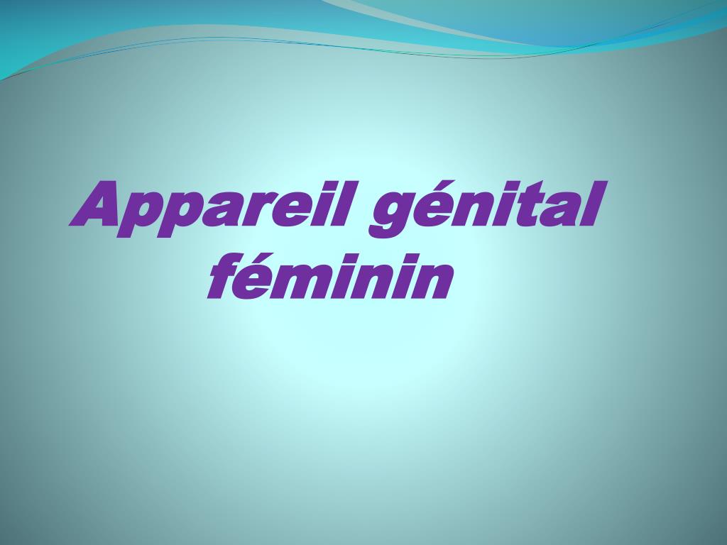 Ppt Appareil Genital Feminin Powerpoint Presentation Free