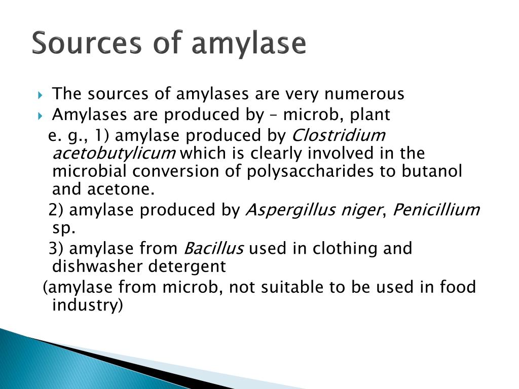 PPT Applied Enzyme Catalysis PowerPoint Presentation