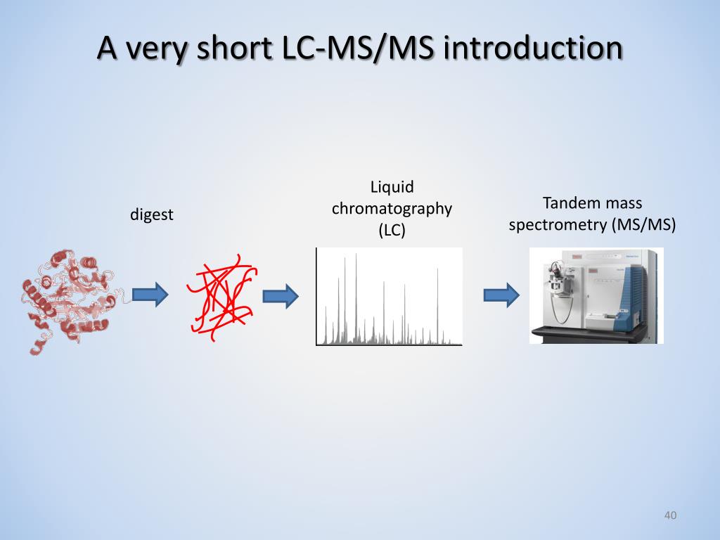 PPT Proteomic Analyses By Mass Spectrometry PowerPoint Presentation ppt-proteomic-analyses-by-mass-spectrometry-powerpoint-presentation