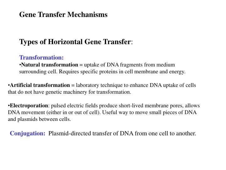 PPT - Isolation, Cultivation, and Nutrition of Bacteria PowerPoint