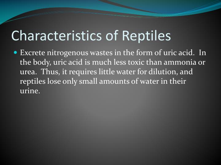 characteristics of reptiles Related to reptiles a teacher's resource packet for grade 2 describe the characteristics of reptiles list the characteristics on chart paper and display in. characteristics of reptiles Related to reptiles a teacher's resource packet for grade 2 describe the characteristics of reptiles list the characteristics on chart paper and display in.