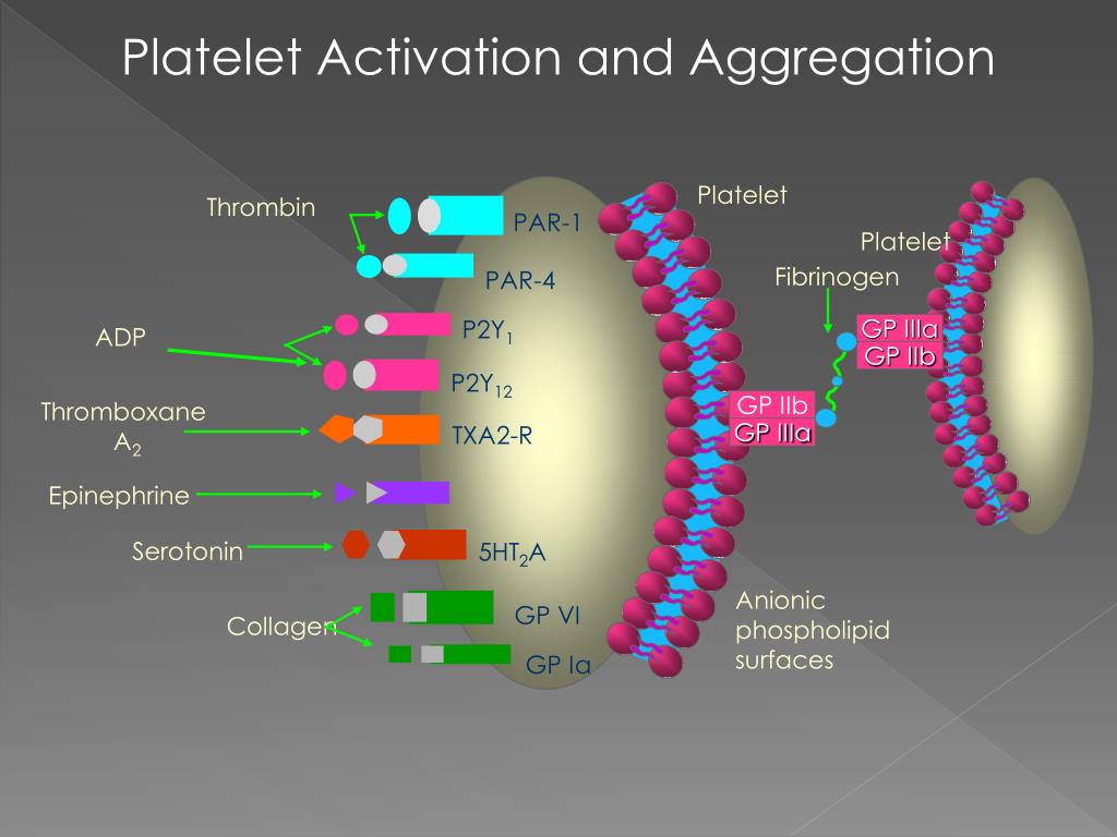 PPT - ISCHAEMIC HEART DISEASE Acute Coronary Syndromes PowerPoint