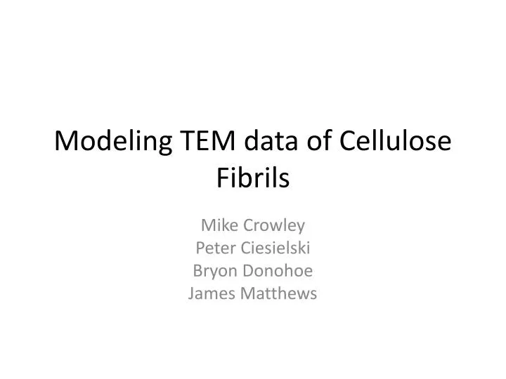 modeling tem data of cellulose fibrils n.