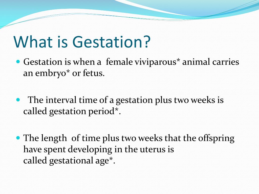 presentation in gestation