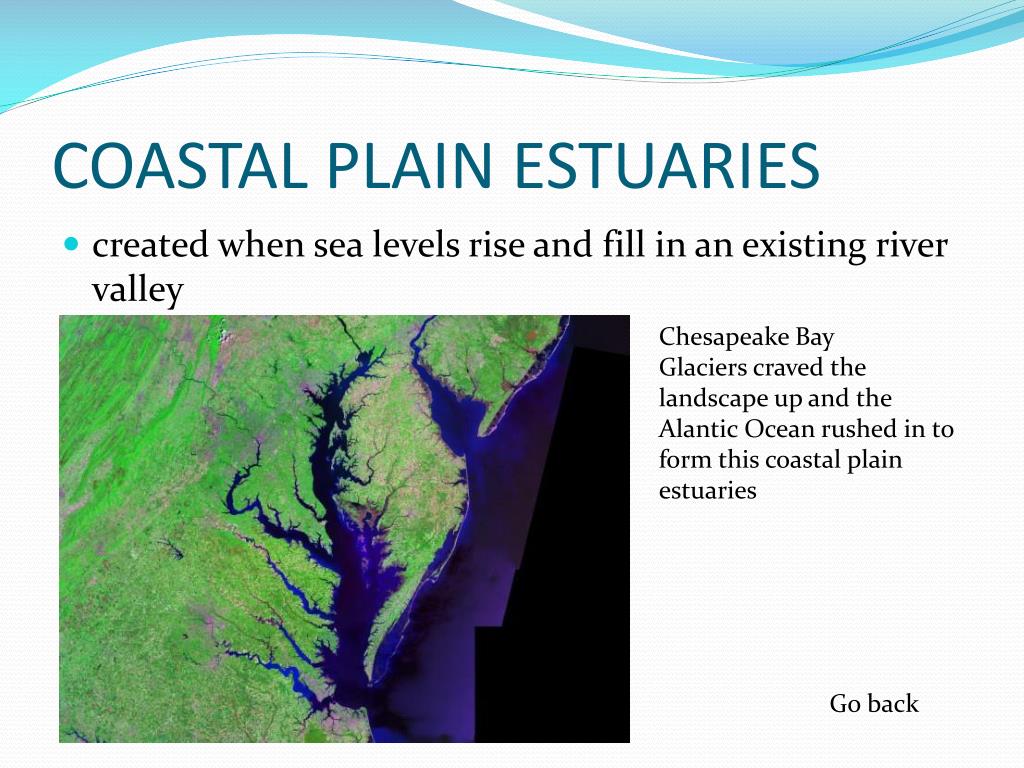 ppt-estuary-powerpoint-presentation-free-download-id-2177511