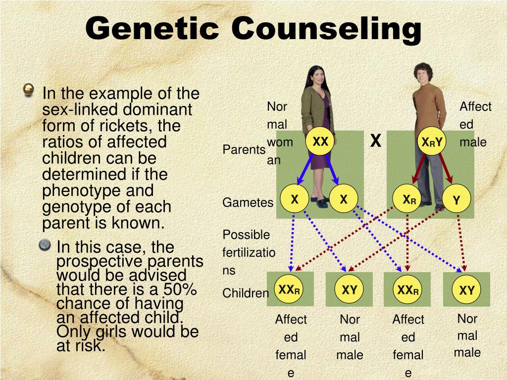 Ppt Linked Genes Sex Linkage And Pedigrees Powerpoint Presentation