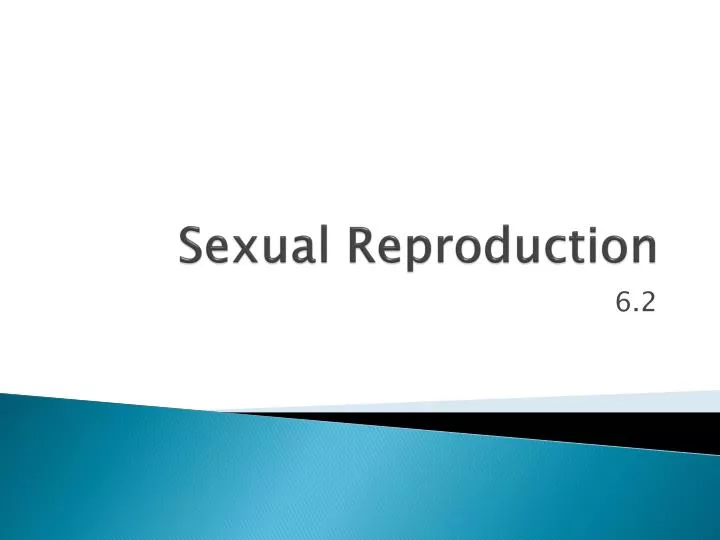 sexual reproduction n.
