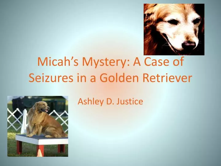 Ppt Micah S Mystery A Case Of Seizures In A Golden Retriever Powerpoint Presentation Id 2178351