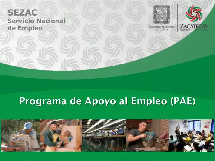 PPT - Programa de Apoyo al Empleo ( PAE ) PowerPoint Presentation, free ...
