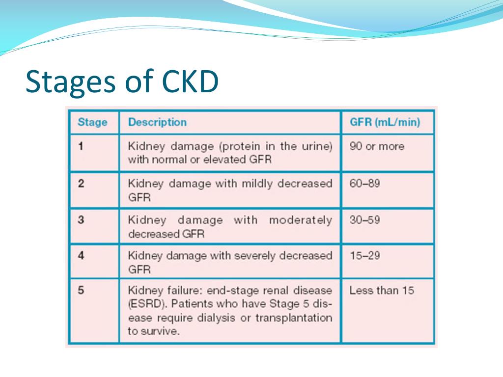 PPT - CKD 1-5d GFR Stages Complications Referral Access/ESRD PowerPoint ...