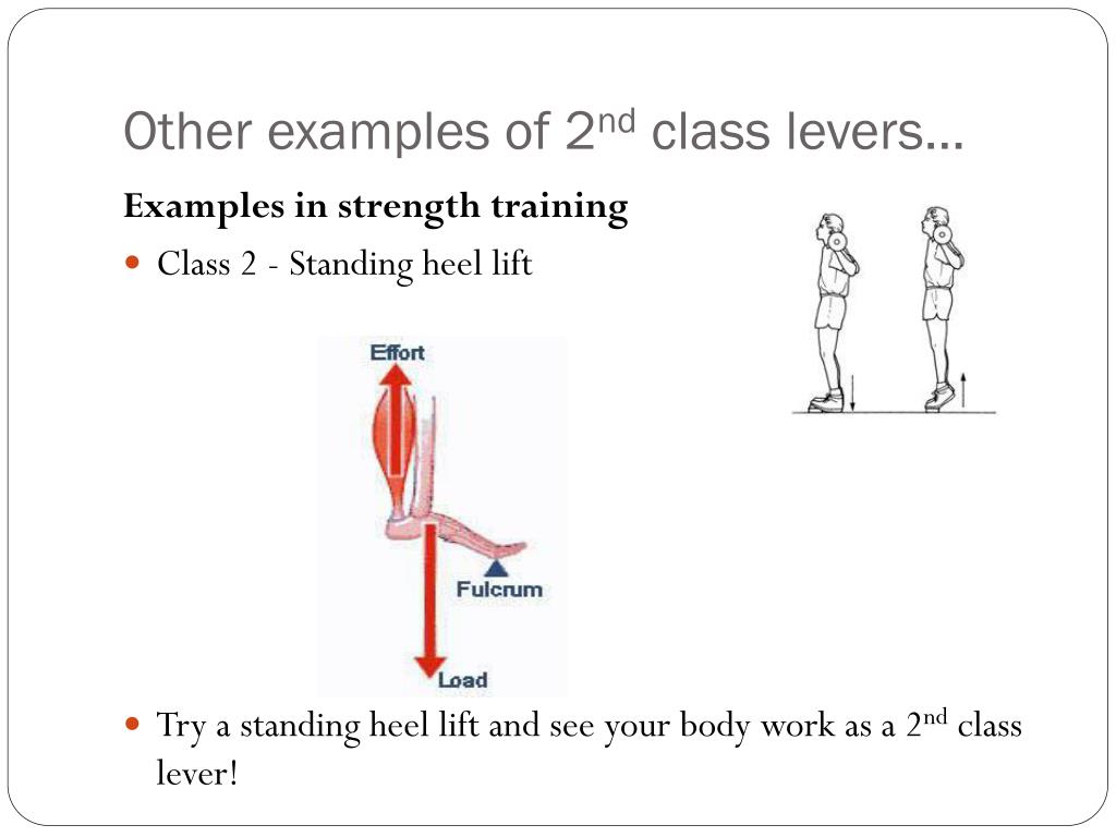 PPT Levers Gaining More Leverage PowerPoint Presentation, free