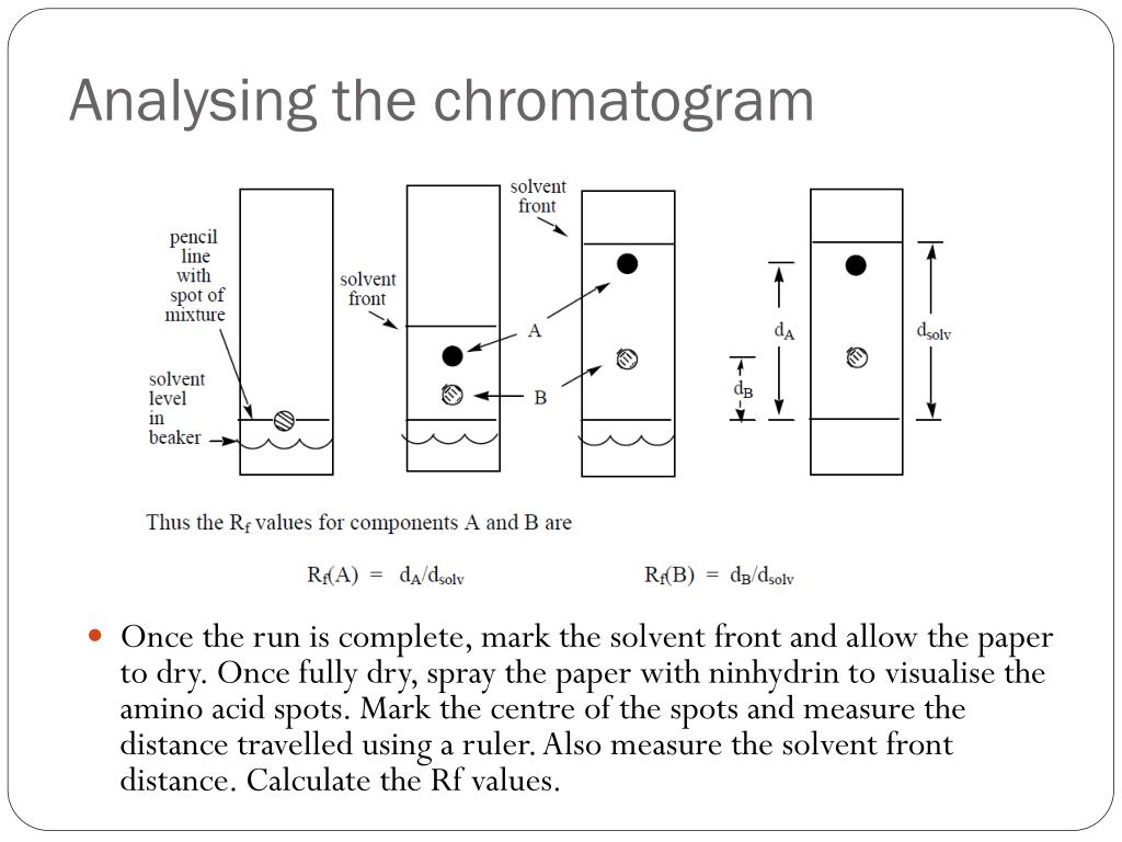 trim chromatogram macvector trim chromatogram macvector