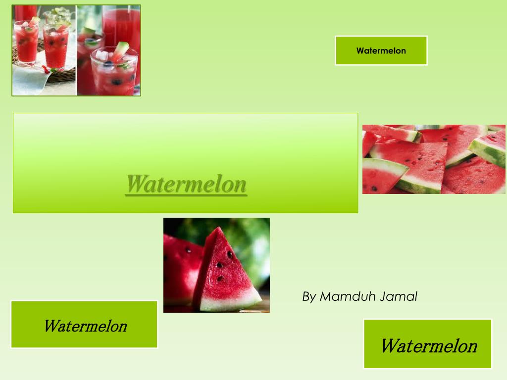 7 Thumper Pro Watermelon Red / 6