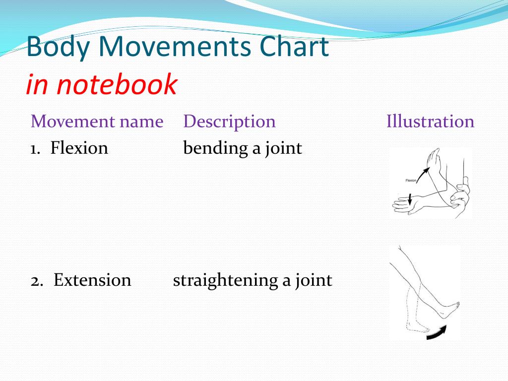 Joint Movements Chart