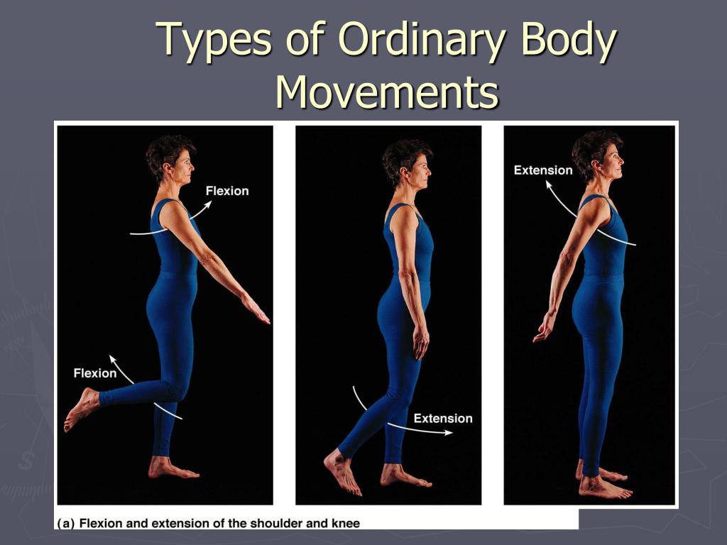 Me extension. Flexion Extension. Body Movement. Flexio ось. Extension flexion Shoulder.