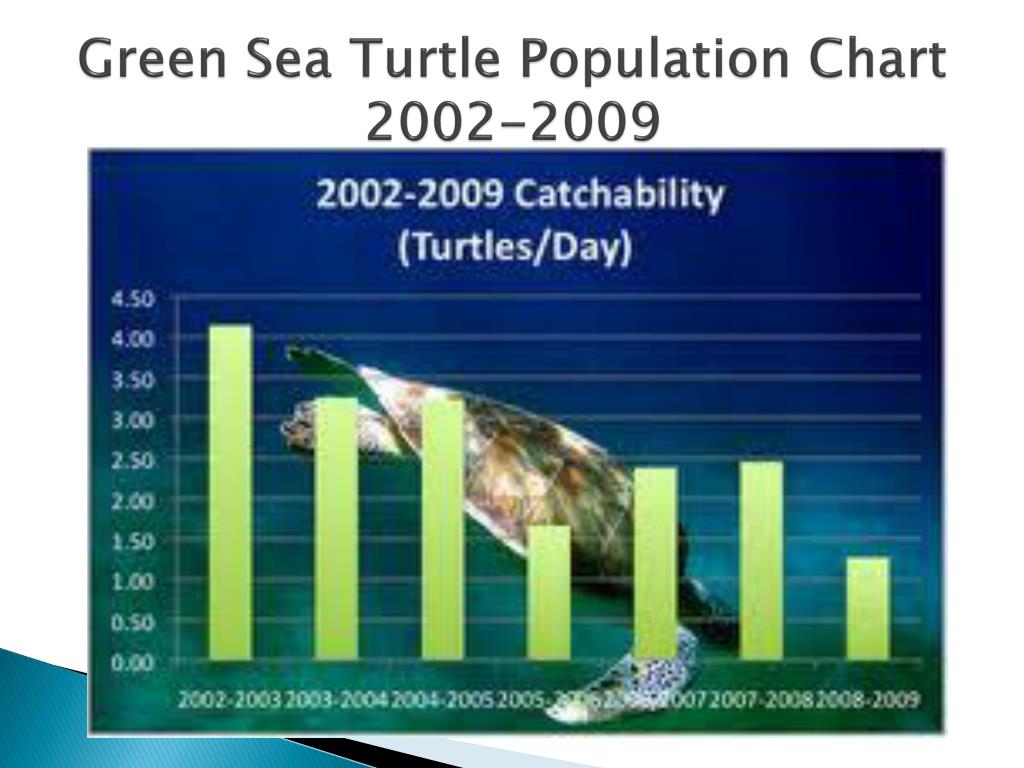 Sea Turtle Population Chart