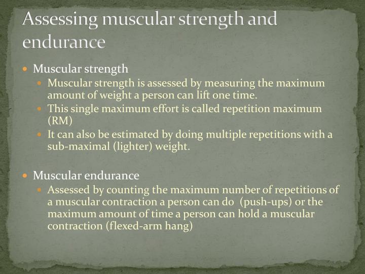 PPT - Muscular Strength and Endurance PowerPoint Presentation - ID:2181702