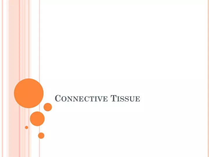 connective tissue n.