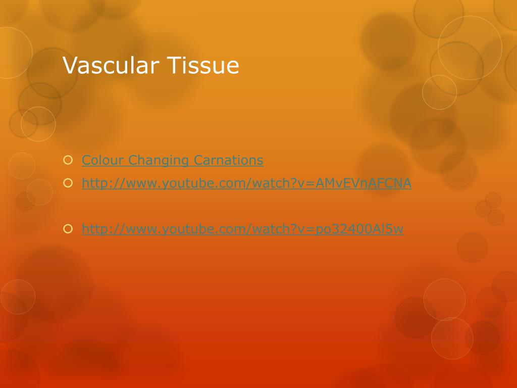 PPT Plant Tissues PowerPoint Presentation, free download ID2182173