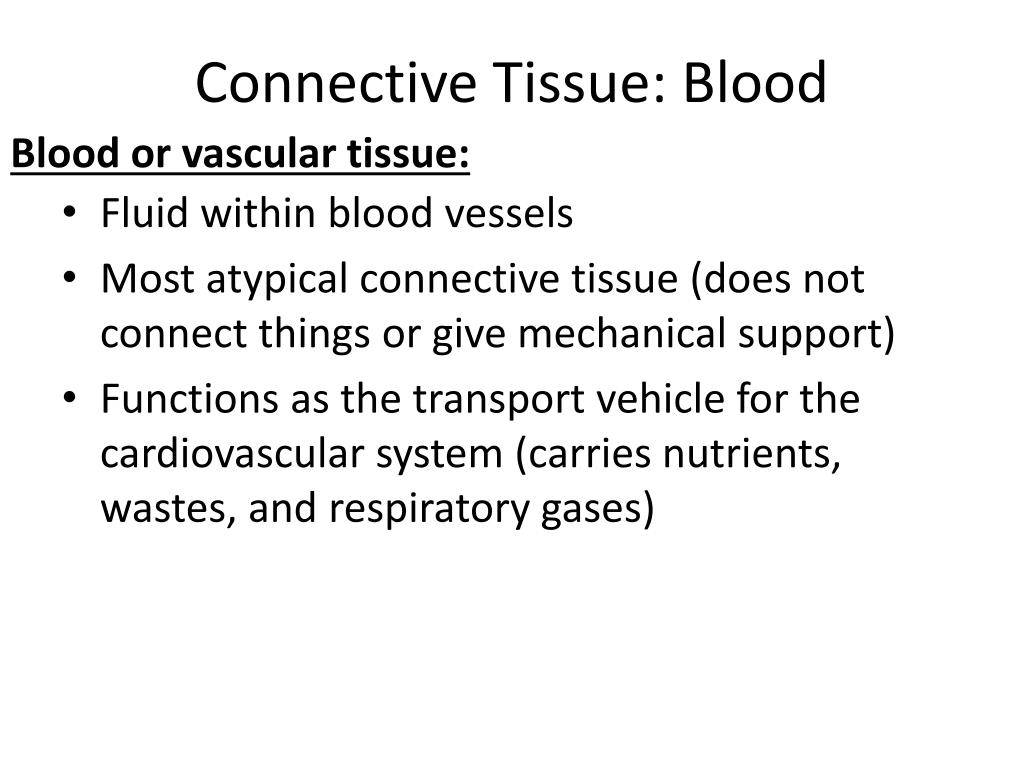 PPT - Connective Tissues PowerPoint Presentation, free download - ID