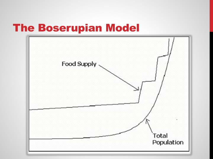 boserup thesis example