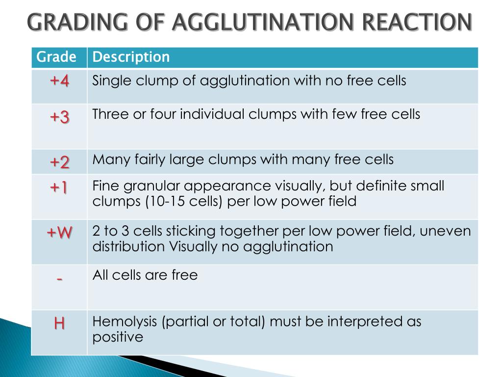 grading of agglutination reaction.