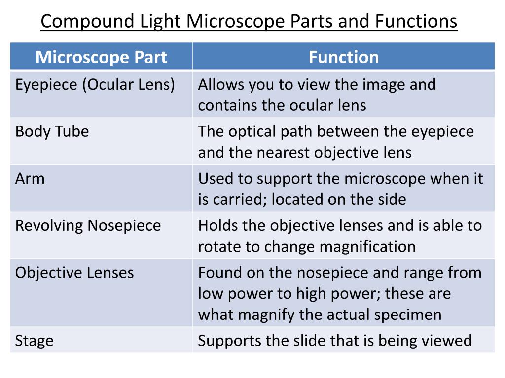 Parts Of A Light Microscope And Their Functions