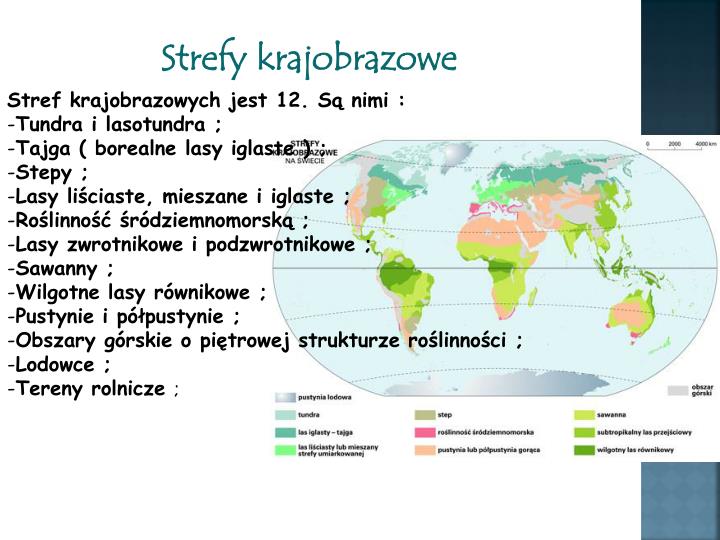 Klimat Górski Występuje We Wszystkich Strefach Klimatycznych PPT - KLIMATY NA ZIEMI PowerPoint Presentation - ID:2186164