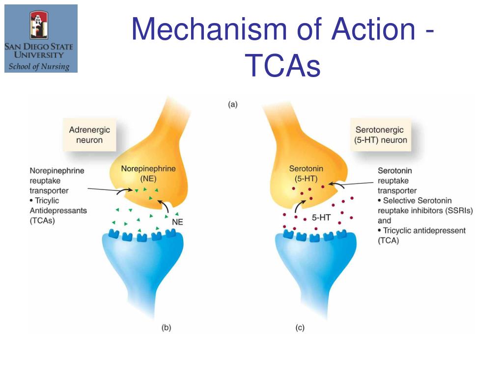Mechanism of action. The mechanism of Action of Adrenaline. SSRIS mechanism of Action. Mechanism of Action of drugs.