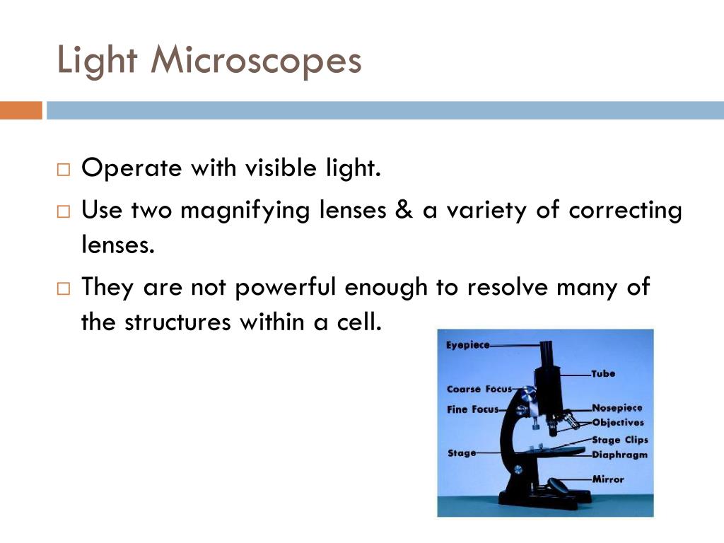 transmission light microscope images transmission light microscope images