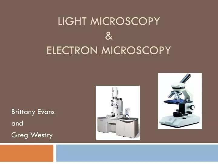 - Microscopy Electron Microscopy PowerPoint Presentation ID:2186260