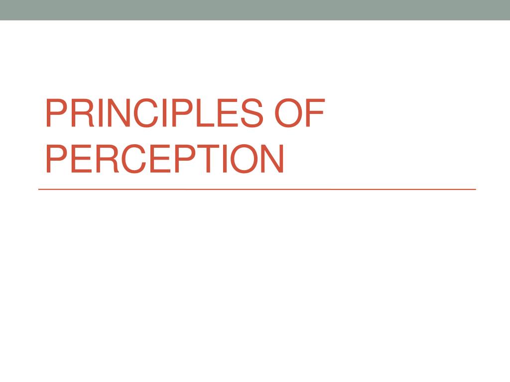 perception definition medical perception definition medical