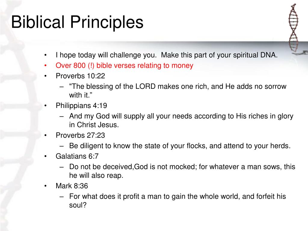 biblical principle definition