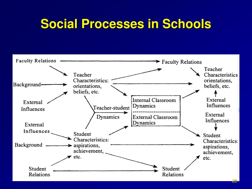 secondary social processes secondary social processes