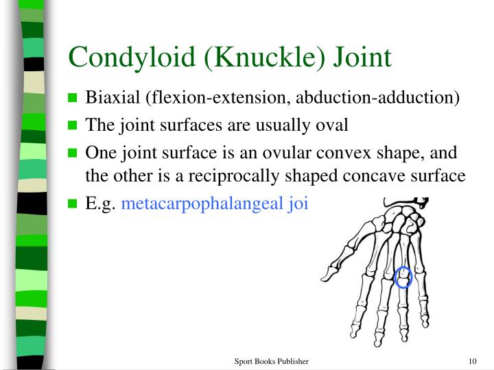 PPT Joints of the Human Body PowerPoint Presentation ID2188340