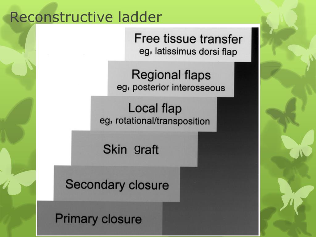 PPT Orthopaedic + Plastic Surgical anatomy PowerPoint Presentation